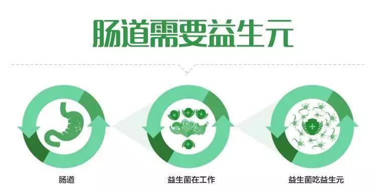 龙氏益生元---益生元是什么?龙氏益生元能起到什