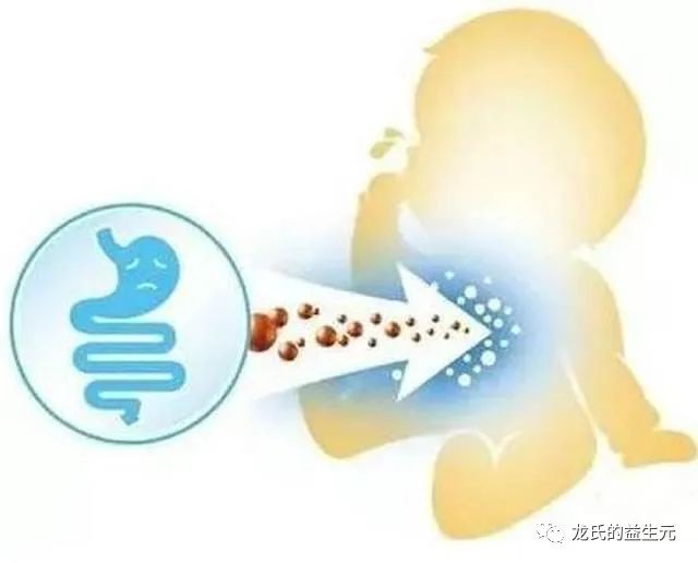 龙氏益生元